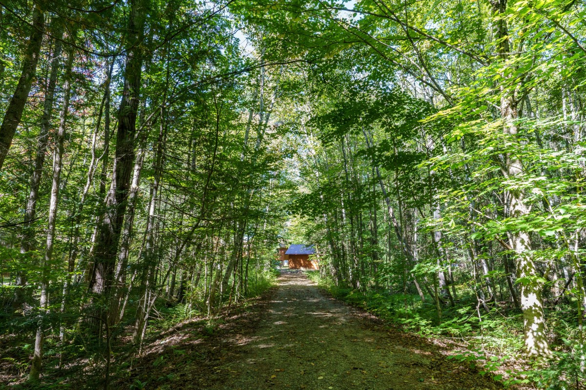 2991 MUSKOKA ROAD 117, Baysville, Ontario, Canada photo 26