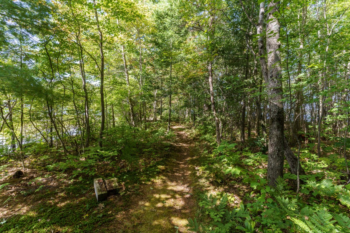 2991 MUSKOKA ROAD 117, Baysville, Ontario, Canada photo 13