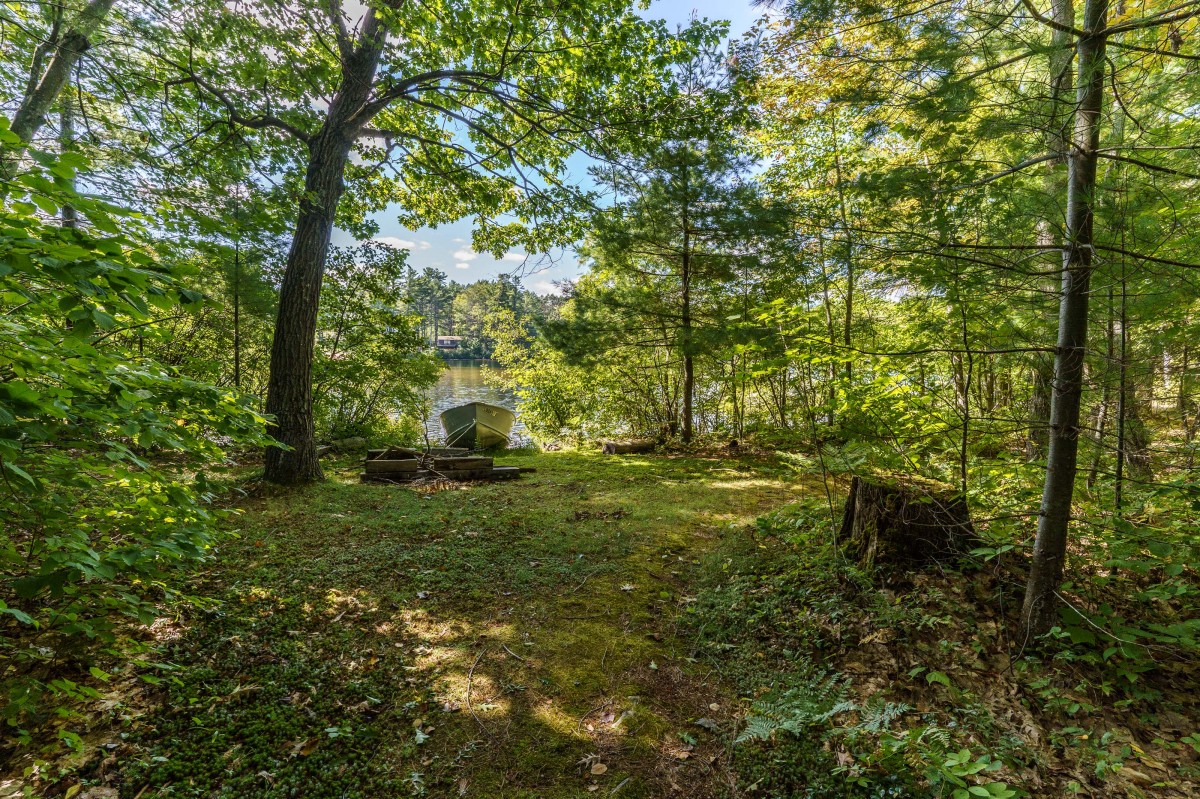 2991 MUSKOKA ROAD 117, Baysville, Ontario, Canada photo 14