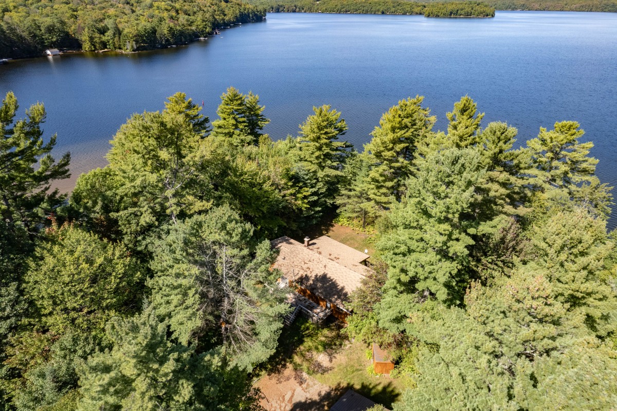 2991 MUSKOKA ROAD 117, Baysville, Ontario, Canada photo 9