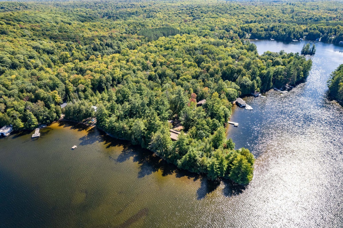 2991 MUSKOKA ROAD 117, Baysville, Ontario, Canada photo 10