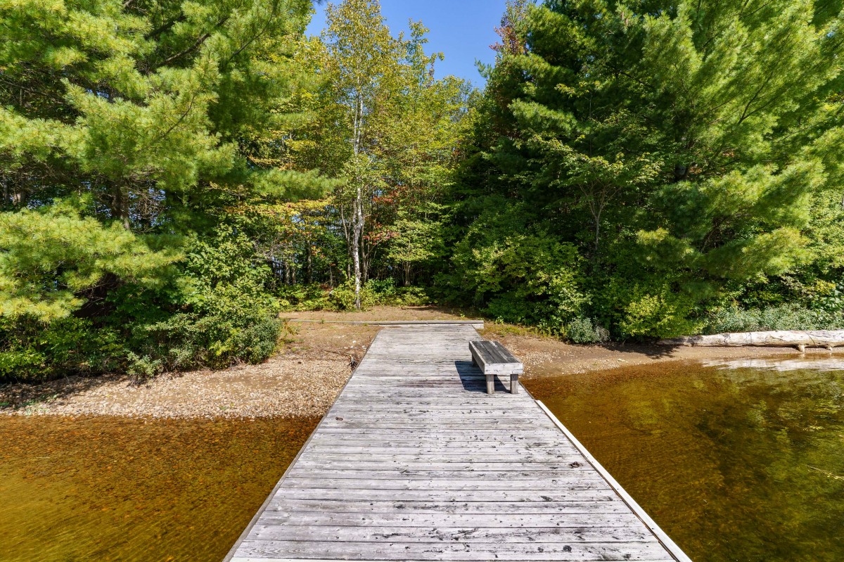 2991 MUSKOKA ROAD 117, Baysville, Ontario, Canada photo 12