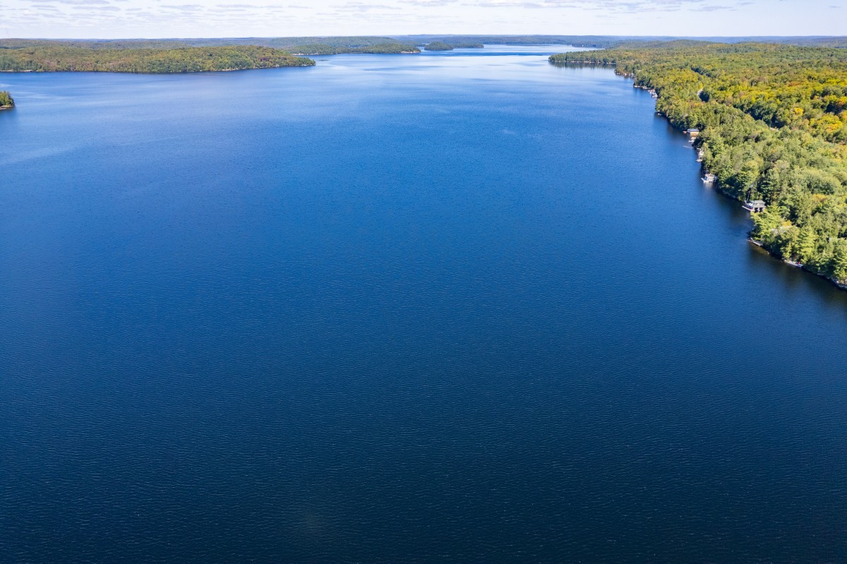 2991 MUSKOKA ROAD 117, Baysville, Ontario, Canada photo 7