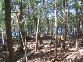 , Rosseau, Ontario, Canada photo 5