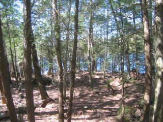 , Rosseau, Ontario, Canada photo 6