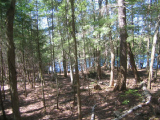 , Rosseau, Ontario, Canada photo 7