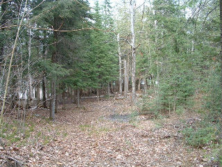 , Rosseau, Ontario, Canada photo 9