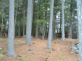 , West Guilford, Ontario, Canada photo 3