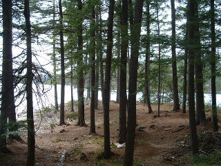 , West Guilford, Ontario, Canada photo 5