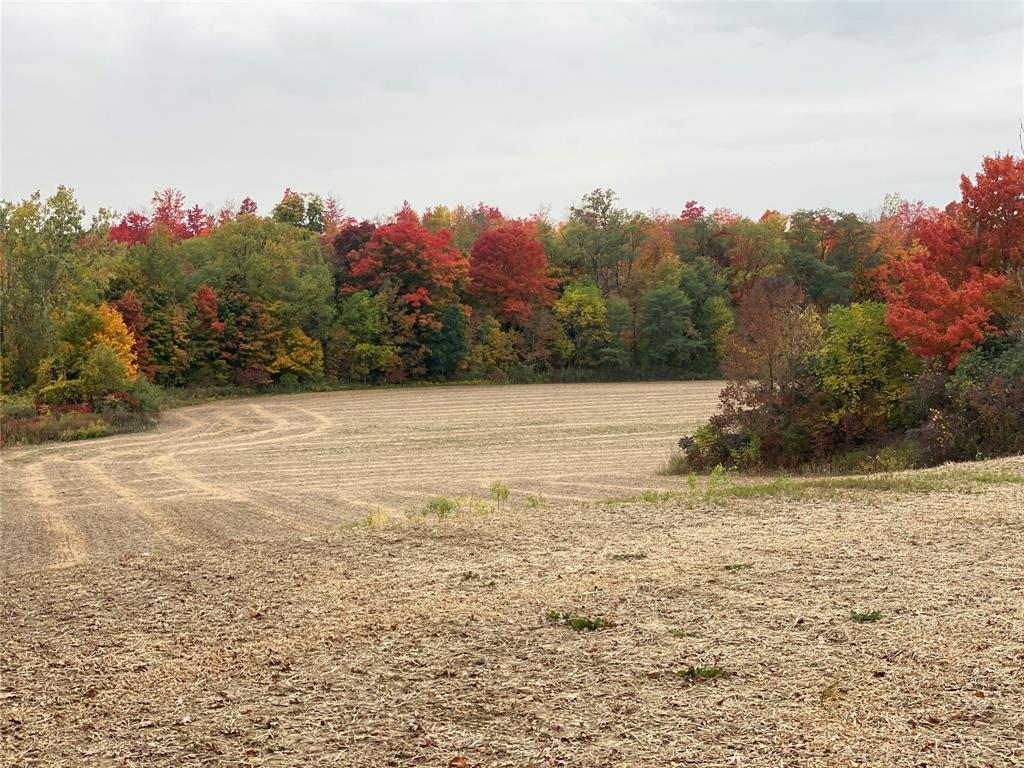 1481 RIVER Drive, North Middlesex, Ontario, Canada