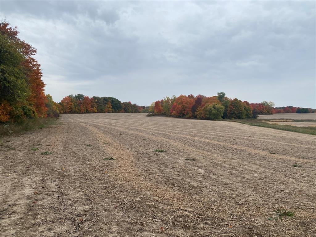 1481 RIVER Drive, North Middlesex, Ontario, Canada