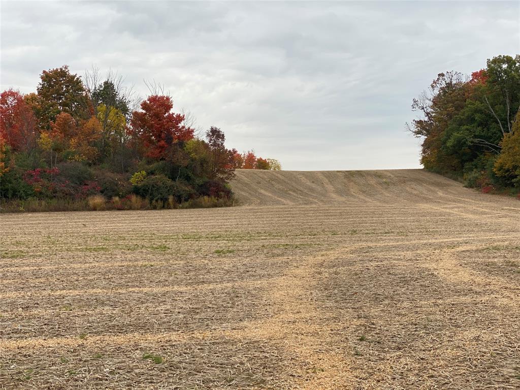 1481 RIVER Drive, North Middlesex, Ontario, Canada