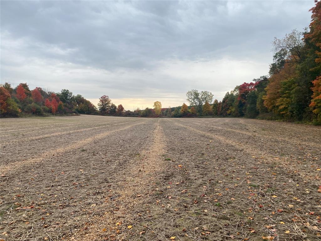 1481 RIVER Drive, North Middlesex, Ontario, Canada