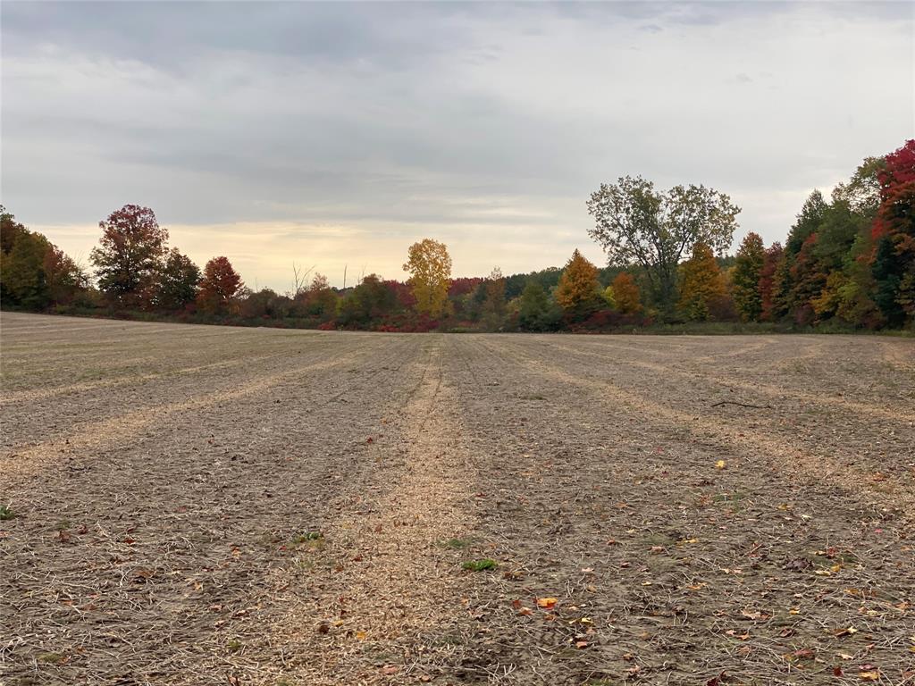 1481 RIVER Drive, North Middlesex, Ontario, Canada