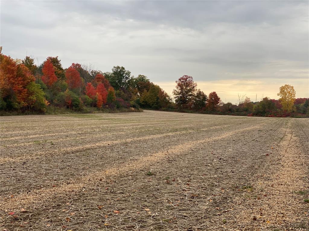 1481 RIVER Drive, North Middlesex, Ontario, Canada