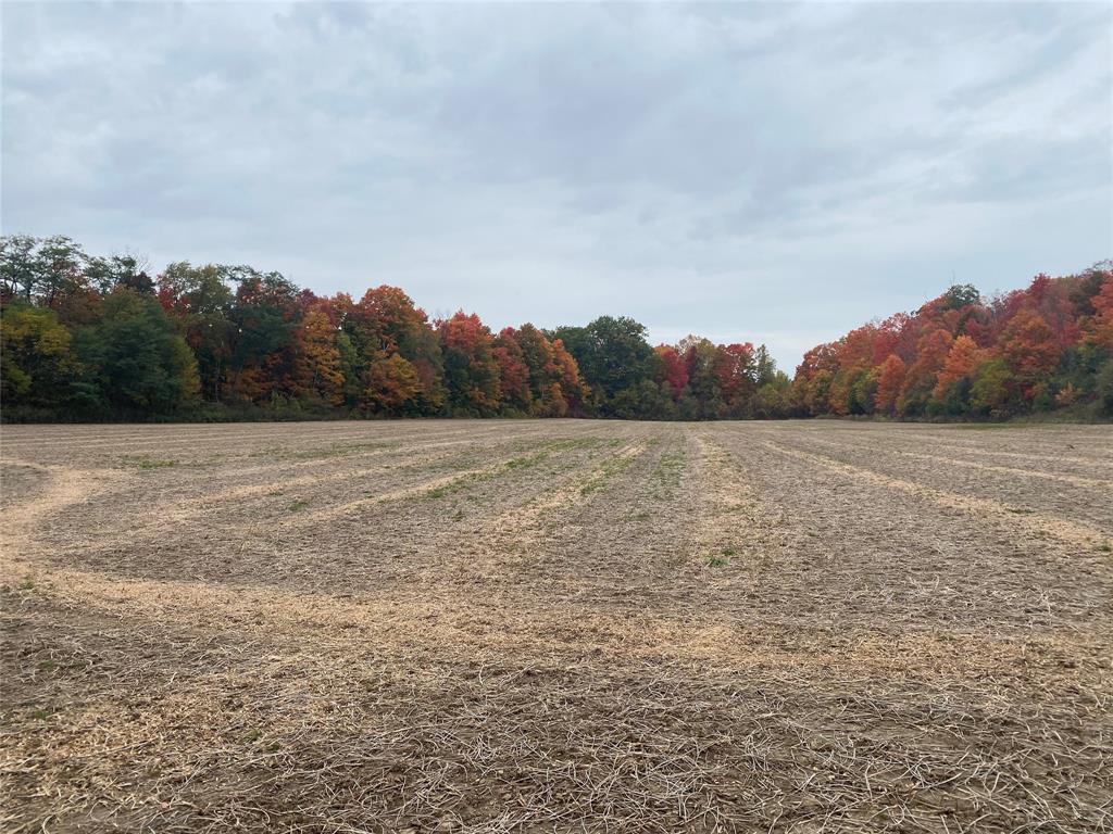 1481 RIVER Drive, North Middlesex, Ontario, Canada