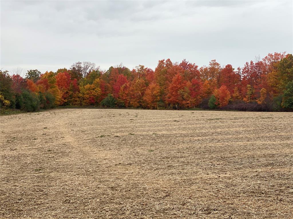 1481 RIVER Drive, North Middlesex, Ontario, Canada