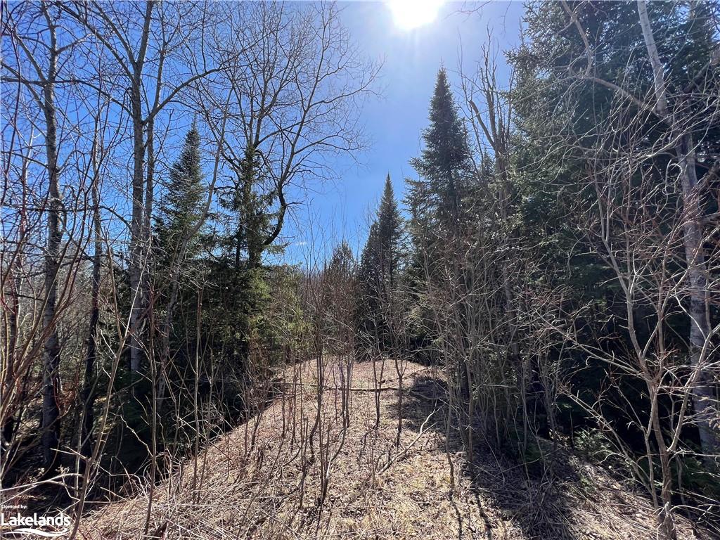 South Lake Road, Minden Ontario, Canada