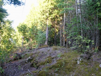 Lot 40 Big Tub Rd