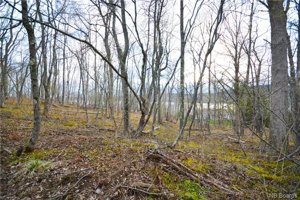 62 Kane Road, Quispamsis, New Brunswick, Canada