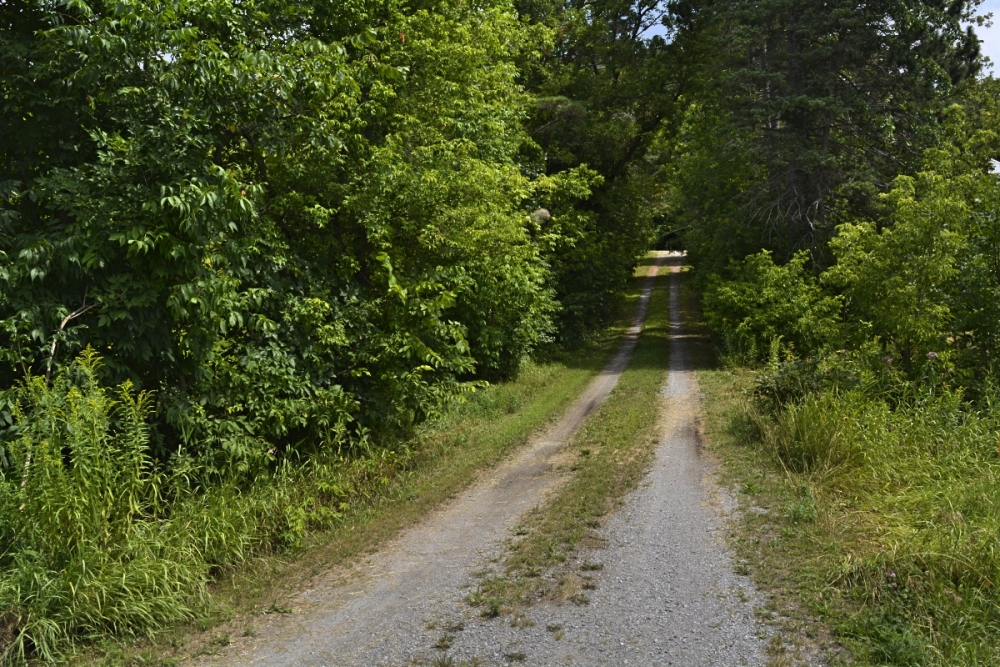 376A Mount Saint Patrick Road, Mount Saint Patrick Ontario, Canada