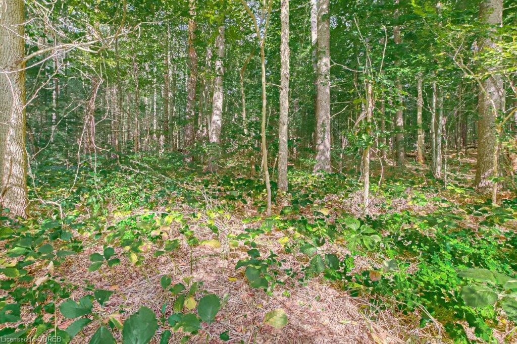 1736 CHARLOTTEVILLE WEST QUARTERLINE Road, Charlotteville, Ontario, Canada