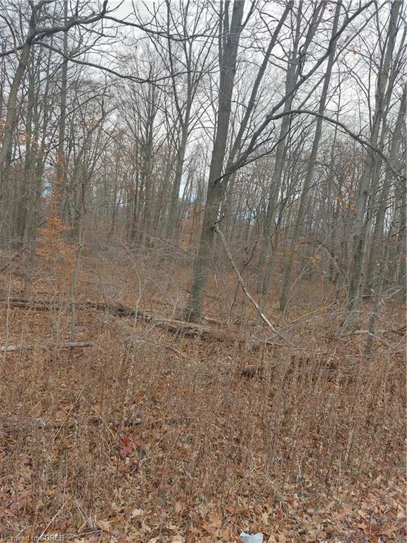 839 WINDHAM RD 12, Delhi, Ontario, Canada