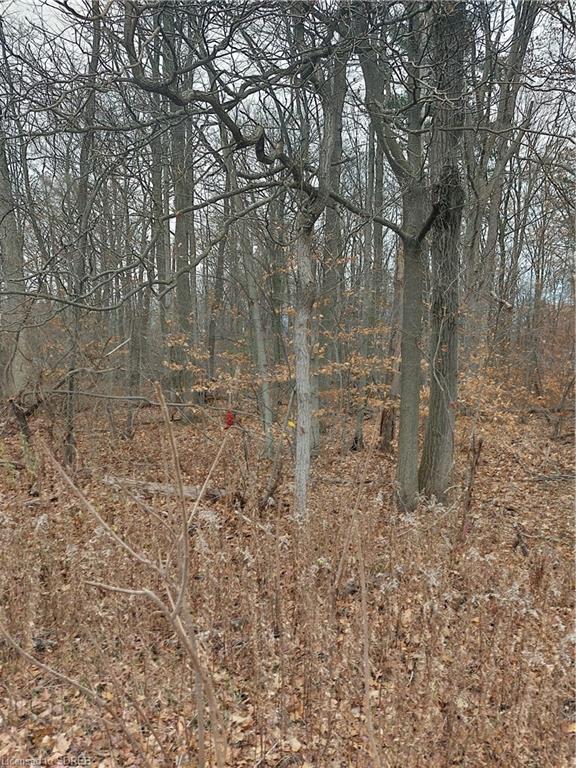 839 WINDHAM RD 12, Delhi, Ontario, Canada