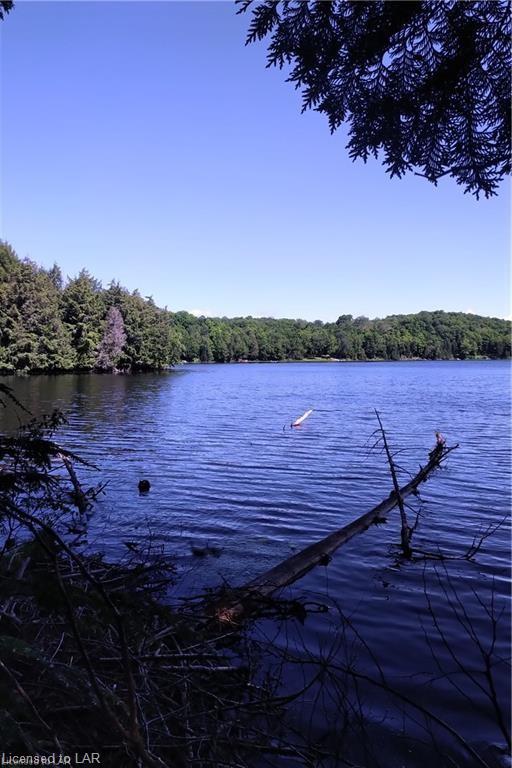 - MINNICOCK LAKE ., Haliburton Ontario, Canada