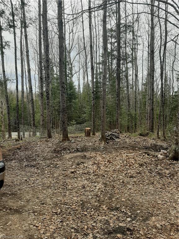 6587 ELEPHANT LAKE Road, Harcourt Ontario, Canada