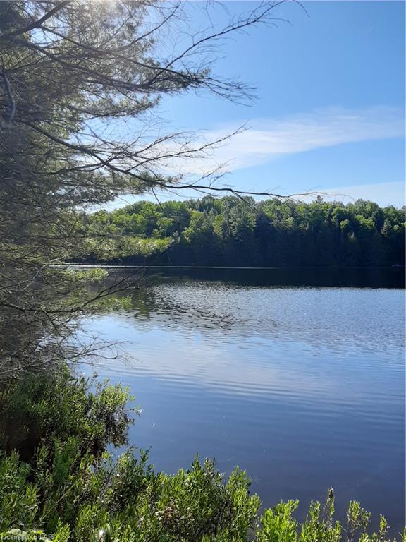 - OFF THE BARRY Line, West Guilford Ontario, Canada