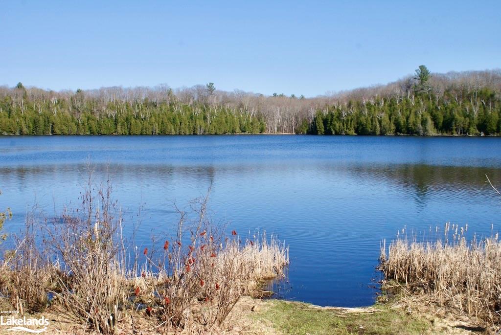 Highway 35, Minden Ontario, Canada
