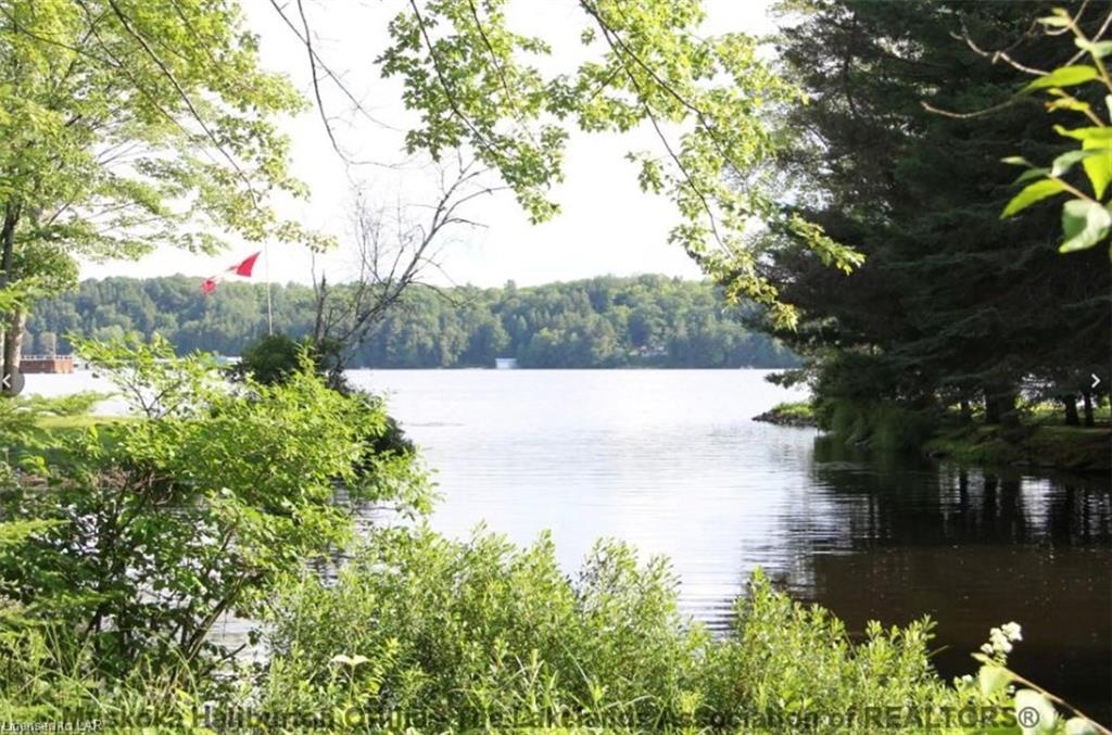 1119 BEAUMONT FARM Road, Bracebridge Ontario, Canada
