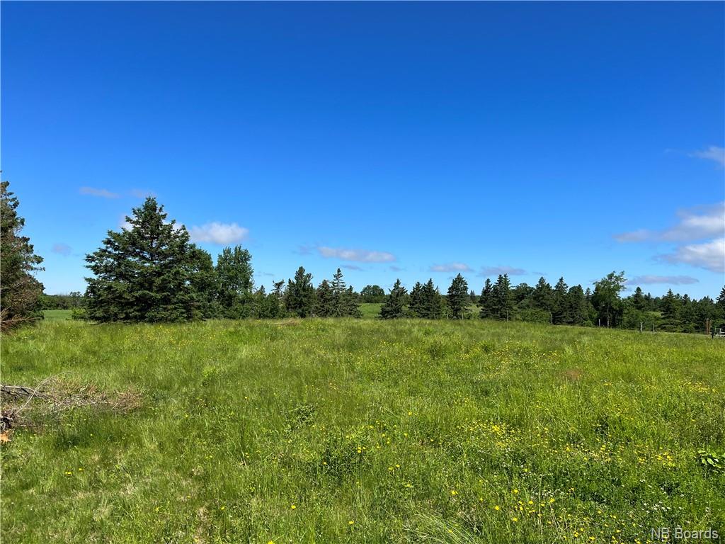 Lot Route 540, Mackenzie Corner New Brunswick, Canada