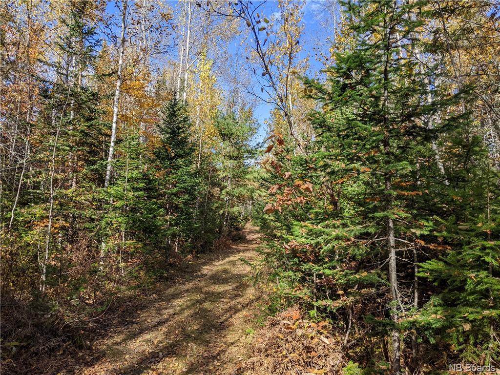 LOT Silverton Road, Adamsville, New Brunswick, Canada