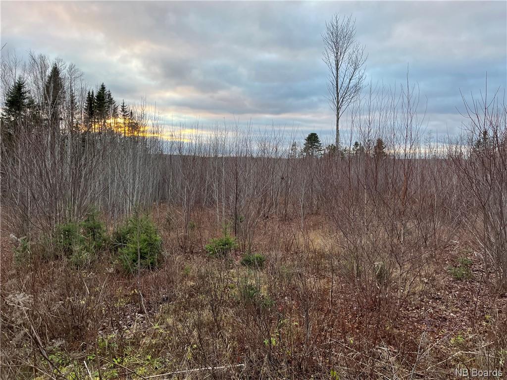 Lot 08-3 Kingsley Road, Kingsley, New Brunswick, Canada