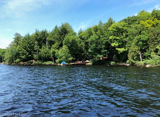 1027 PONDEROSA Trail, Haliburton, Ontario, Canada