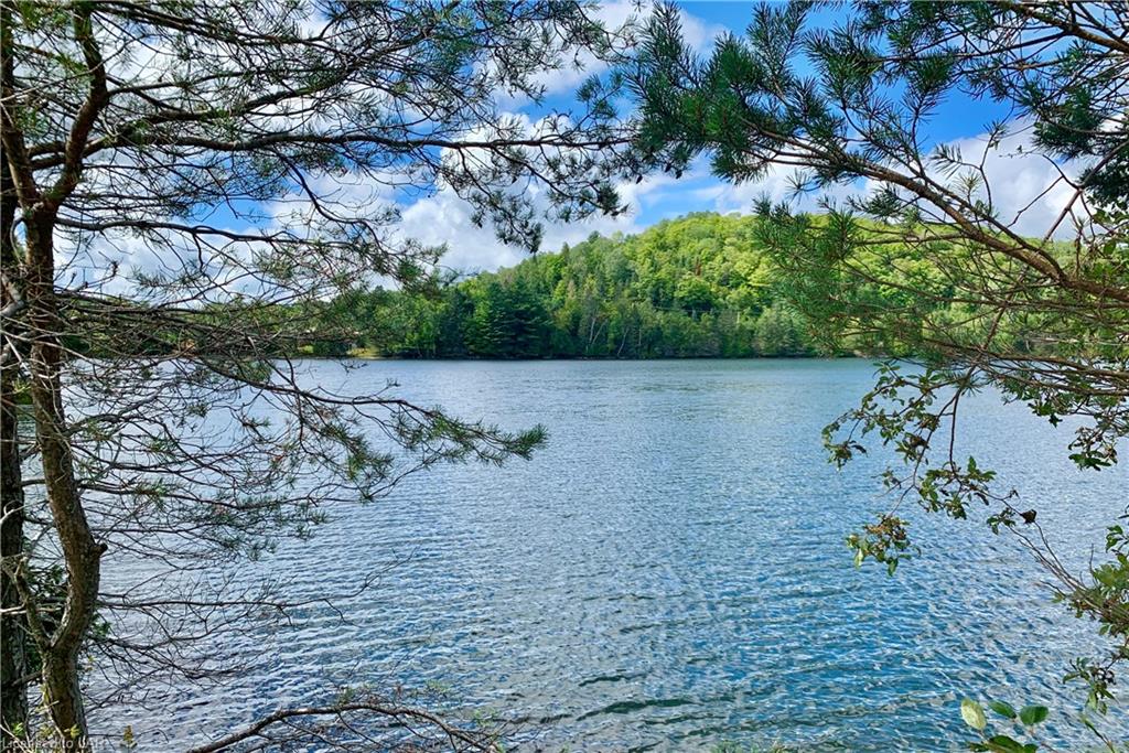 1134 SCHOFIELD Road, Highlands East, Ontario, Canada