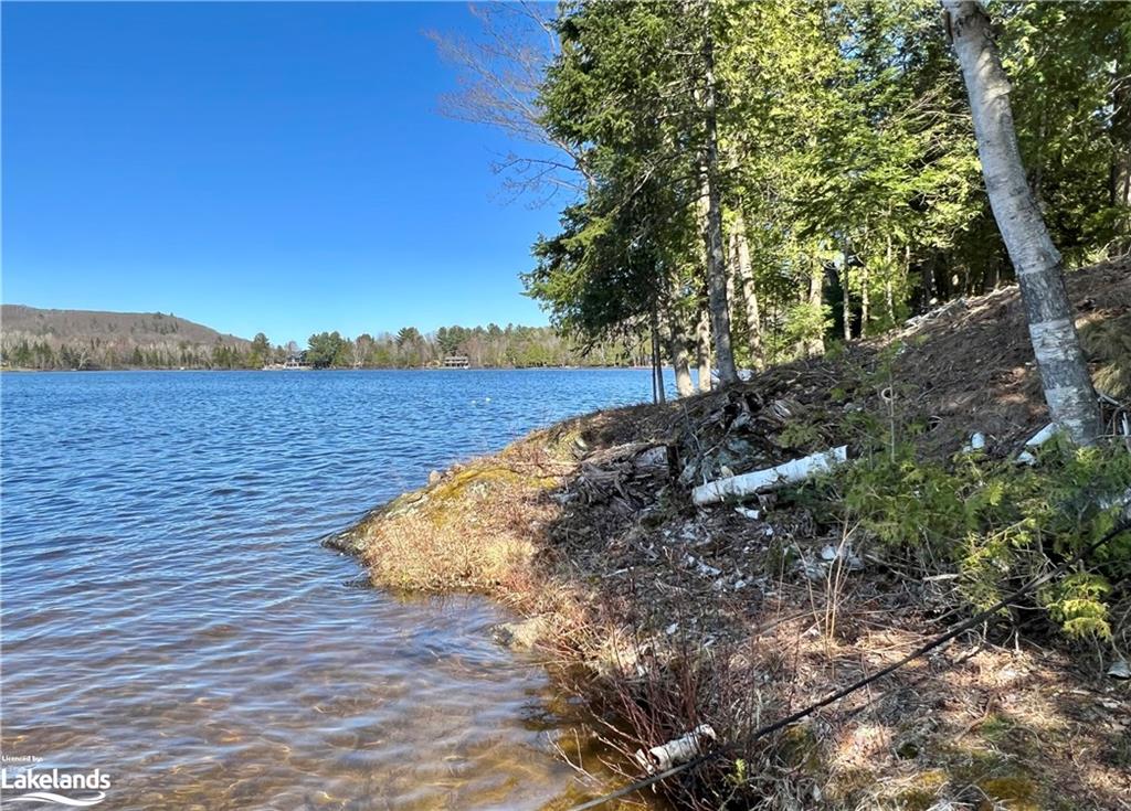 1172 PAINT LAKE Road, Lake of Bays, Ontario, Canada
