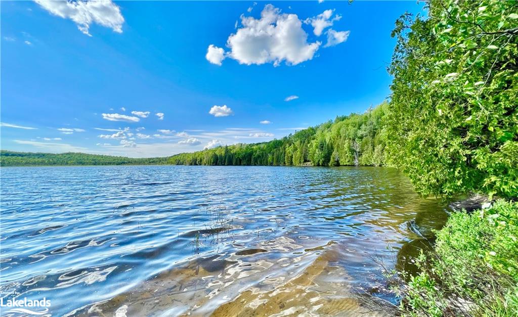 113 CROSS Road, Bancroft, Ontario, Canada