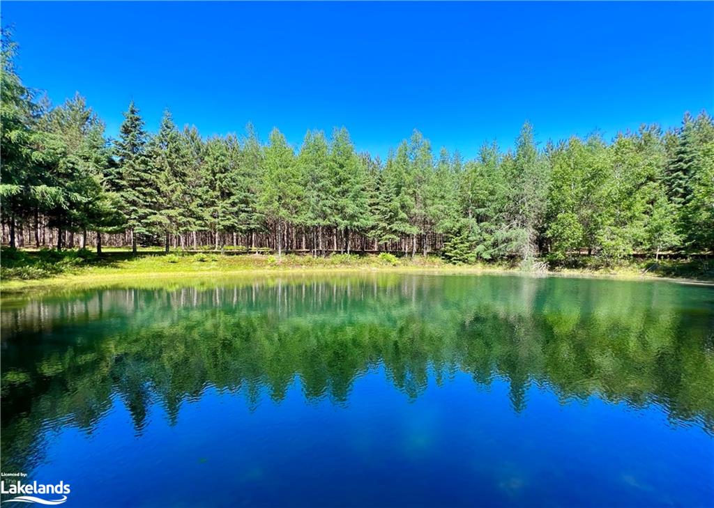 1936 BARRY LINE Road, Algonquin Highlands, Ontario, Canada