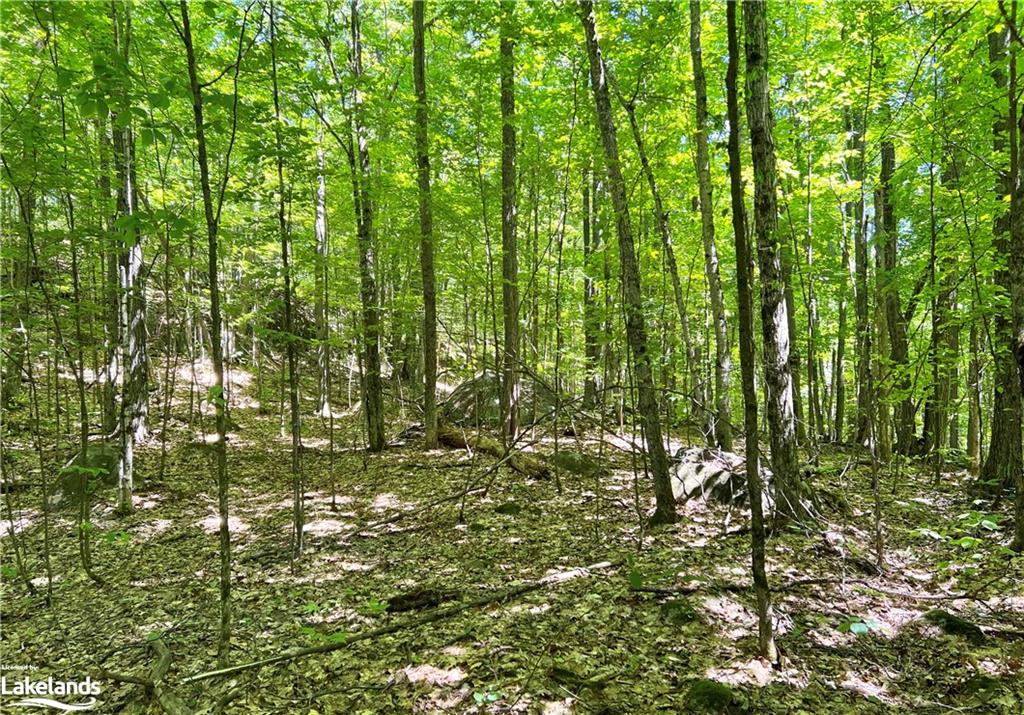 1936 BARRY LINE Road, Algonquin Highlands, Ontario, Canada