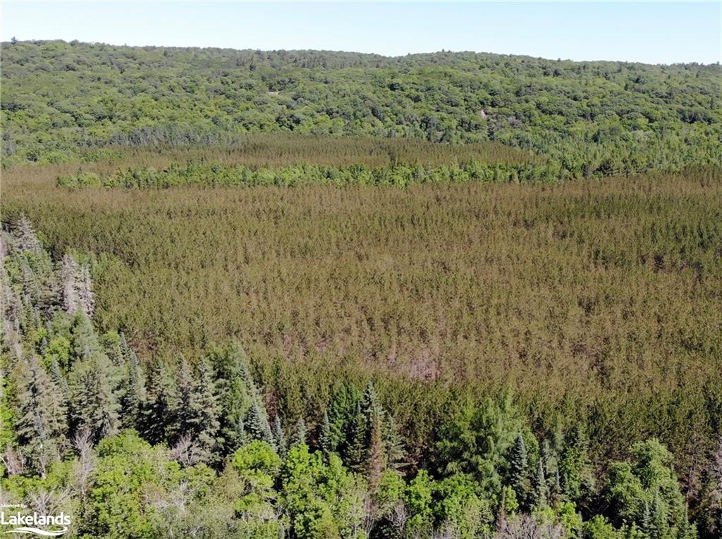 1936 BARRY LINE Road, Algonquin Highlands, Ontario, Canada