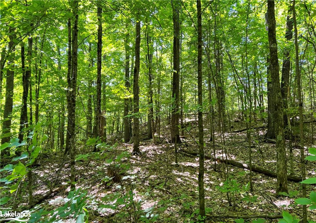 1936 BARRY LINE Road, Algonquin Highlands, Ontario, Canada
