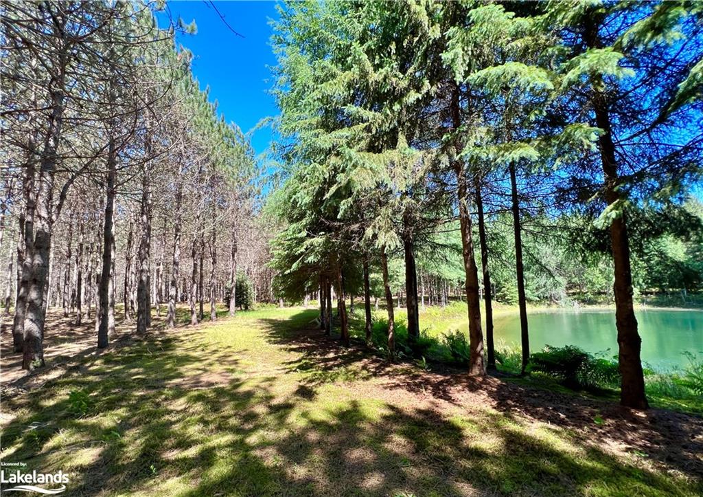 1936 BARRY LINE Road, Algonquin Highlands, Ontario, Canada