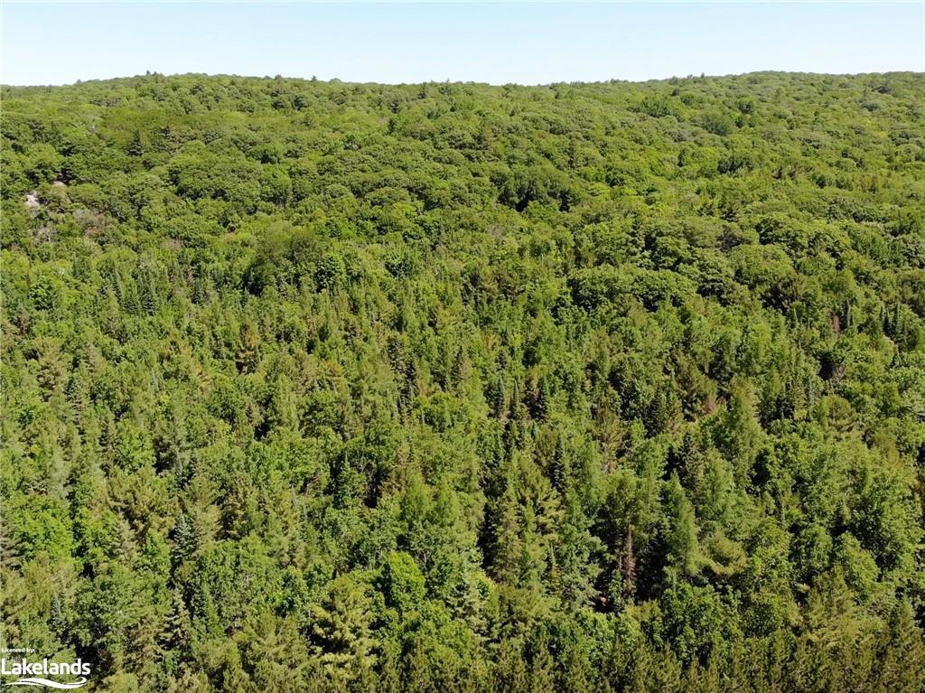1936 BARRY LINE Road, Algonquin Highlands, Ontario, Canada