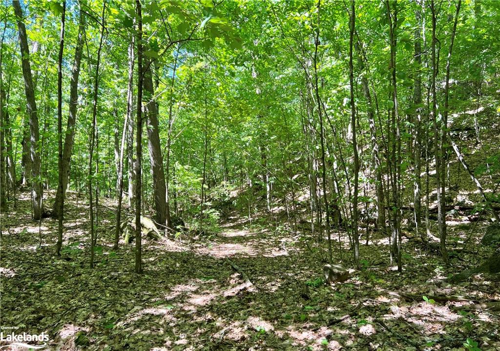 1936 BARRY LINE Road, Algonquin Highlands, Ontario, Canada