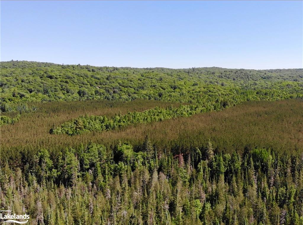 1936 BARRY LINE Road, Algonquin Highlands, Ontario, Canada