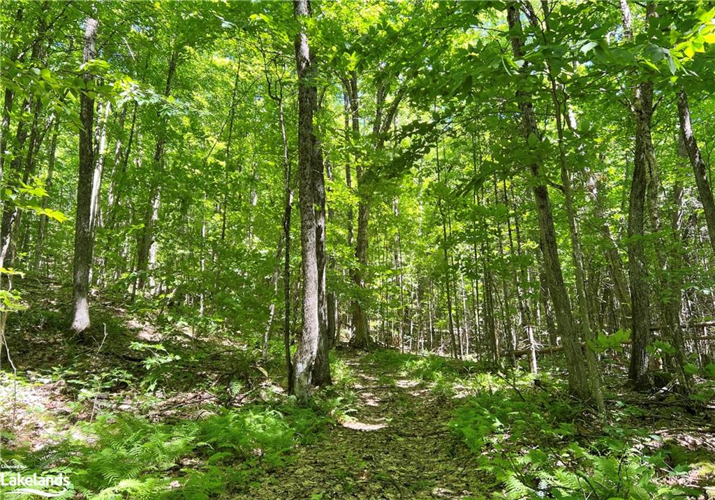 1936 BARRY LINE Road, Algonquin Highlands, Ontario, Canada