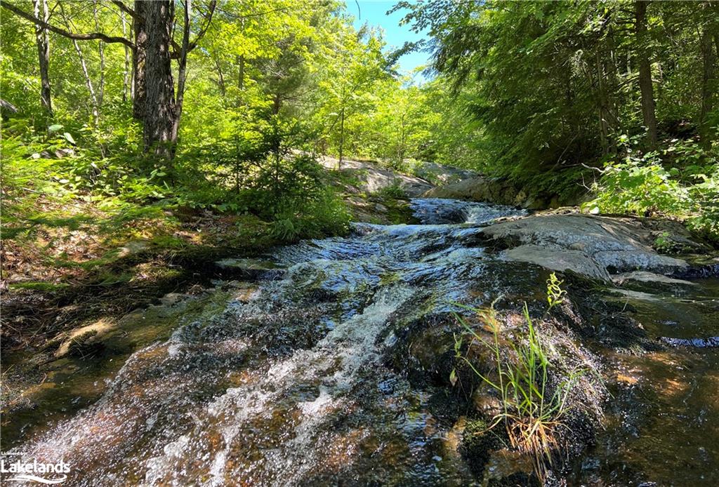 1936 BARRY LINE Road, Algonquin Highlands, Ontario, Canada